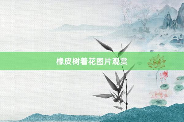 橡皮树着花图片观赏