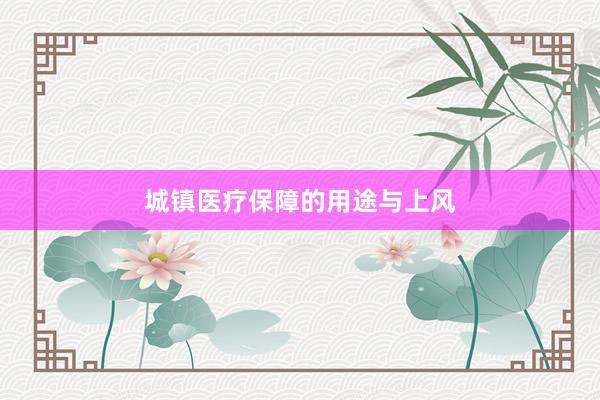 城镇医疗保障的用途与上风