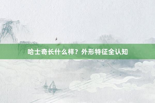 哈士奇长什么样?外形特征全认知