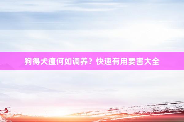 狗得犬瘟何如调养？快速有用要害大全