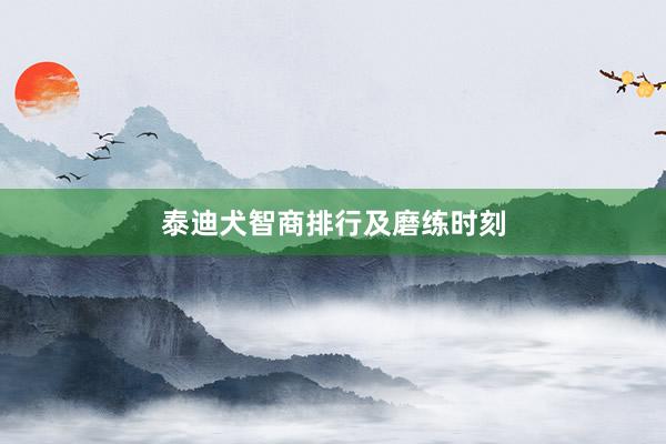 泰迪犬智商排行及磨练时刻